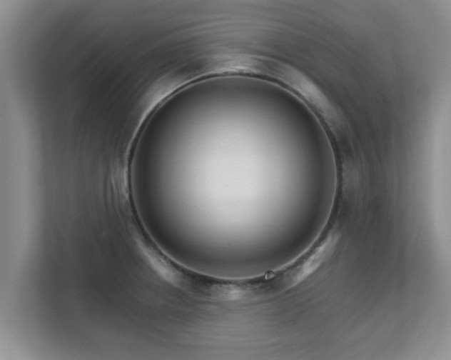 X0000111681234200907241226