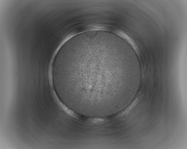 X0000111681235200907241226