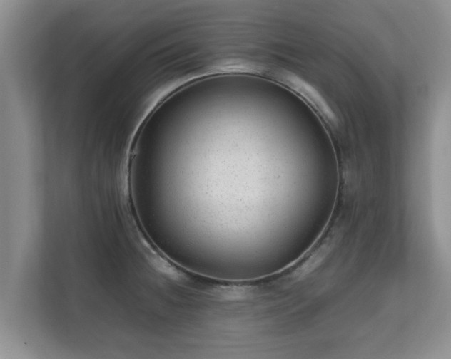 X0000111681236200907241226