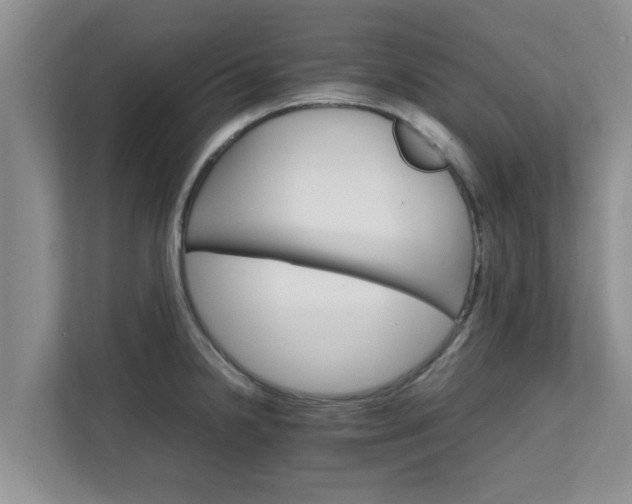 X0000111681238200907241226