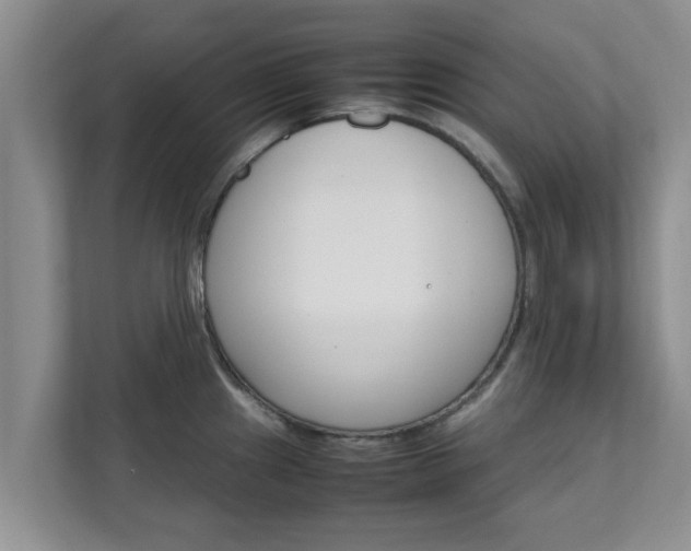 X0000111681241200907241226