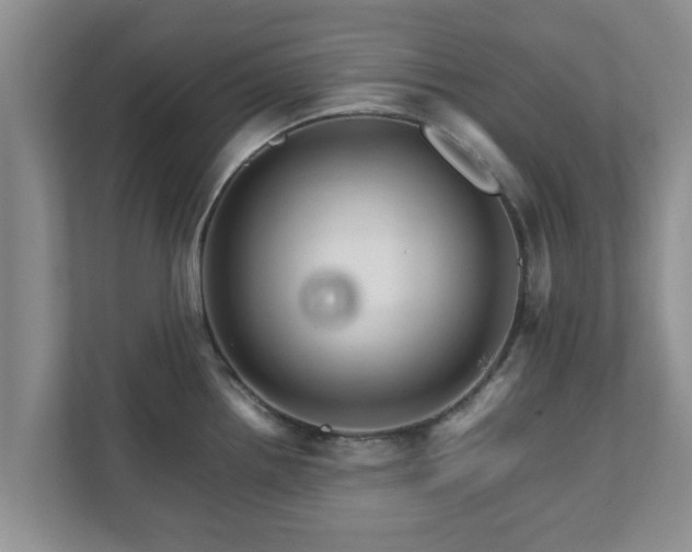 X0000111681242200907241226