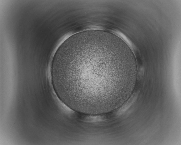 X0000111681243200907241226