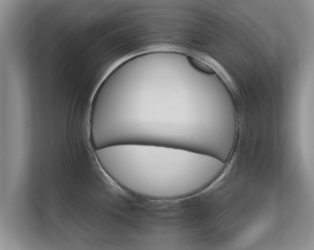 X0000111681244200907241226