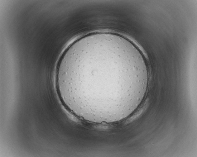 X0000111681245200907241226