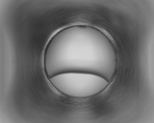 X0000111681246200907241226