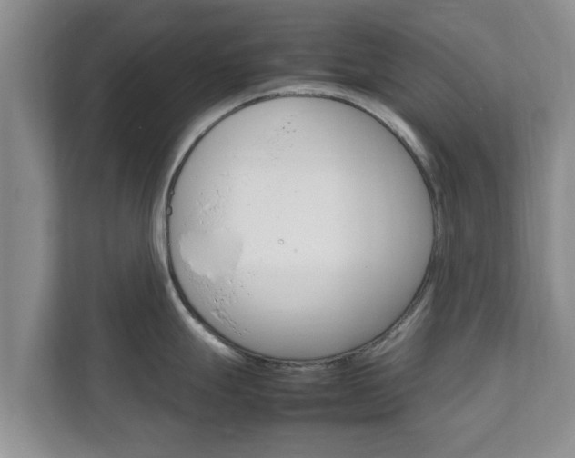 X0000111681247200907241226