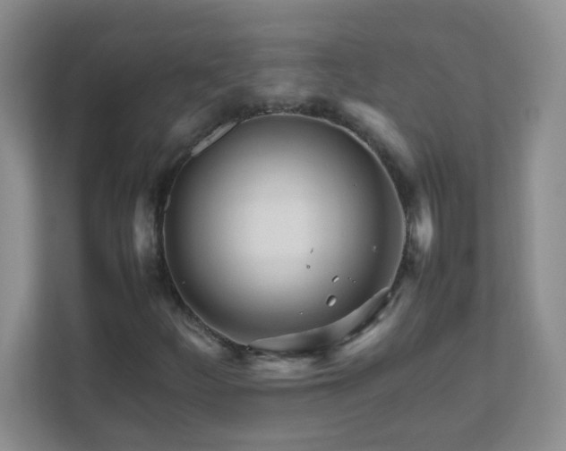 X0000111681252200907241226