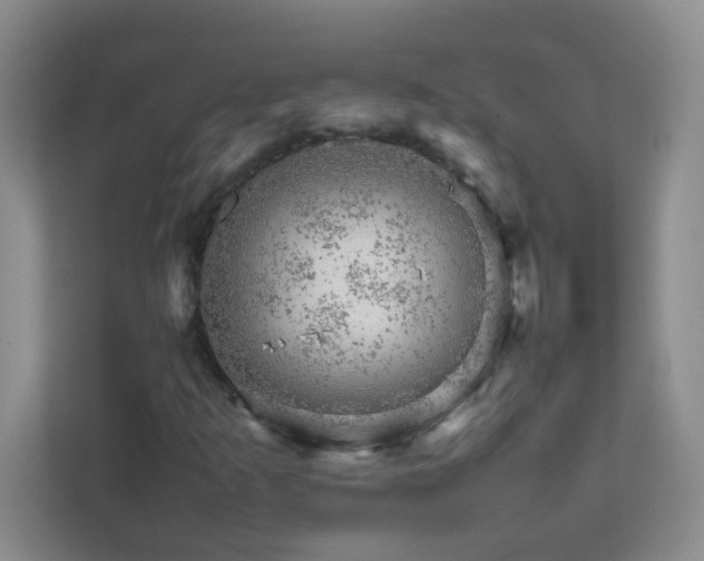 X0000111681253200907241226