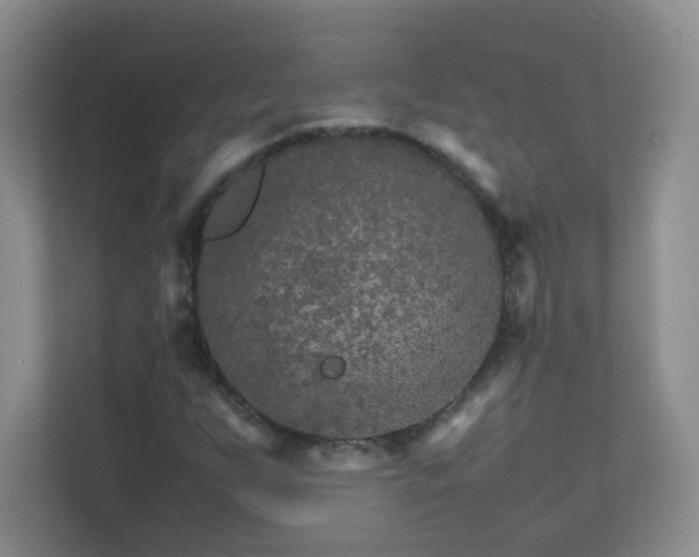 X0000111681255200907241226