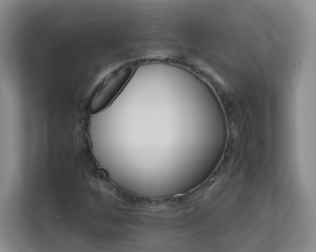 X0000111681256200907241226