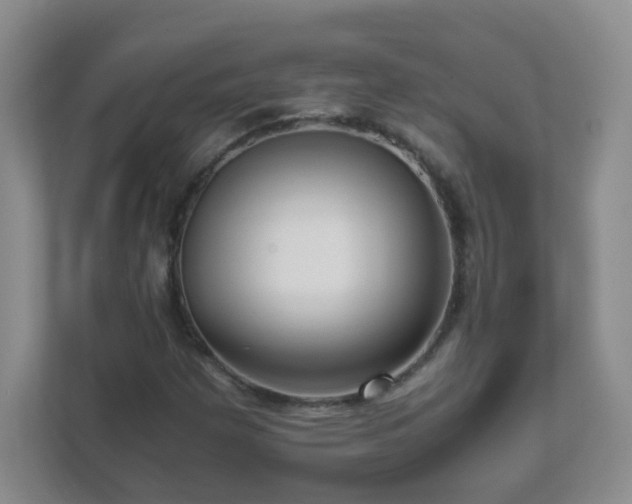 X0000111681257200907241226