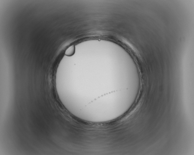 X0000111681259200907241225