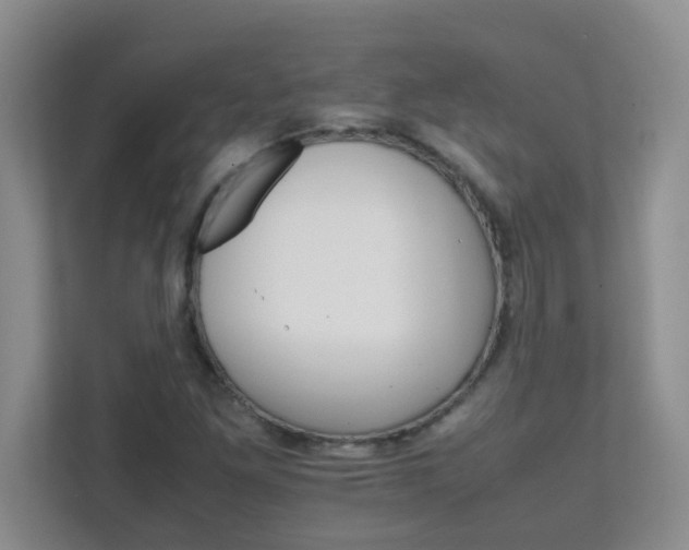 X0000111681261200907241225