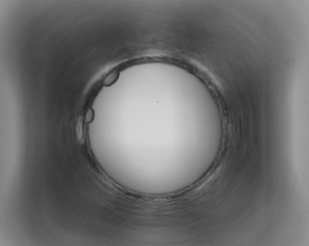 X0000111681262200907241225