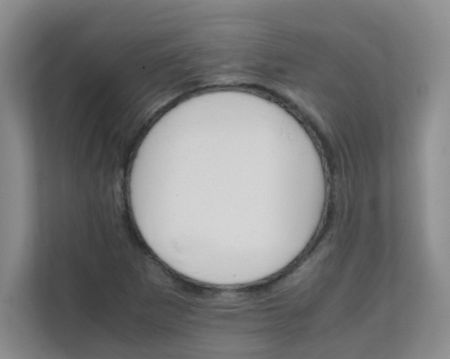 X0000111681265200907241225