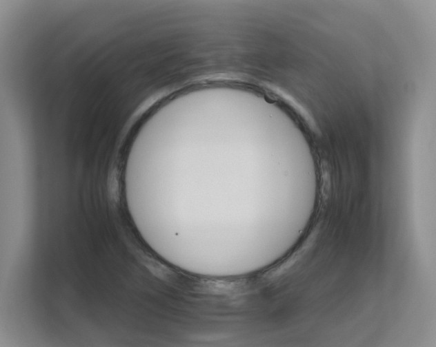 X0000111681266200907241225