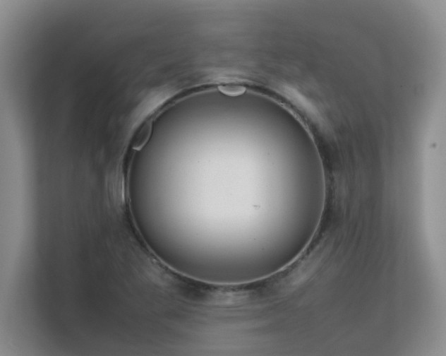 X0000111681269200907241225