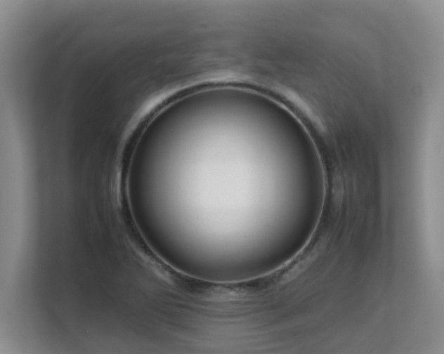 X0000111681270200907241225