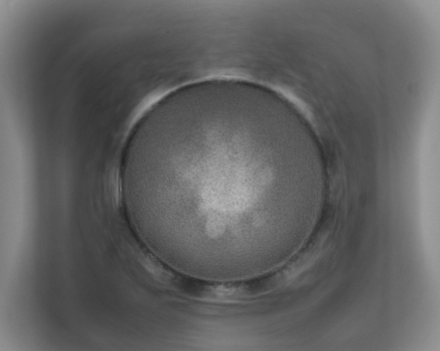 X0000111681271200907241225