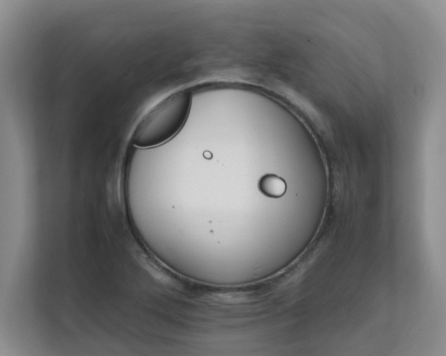 X0000111681272200907241225