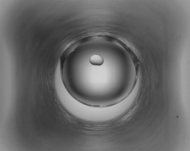 X0000111681273200907241225