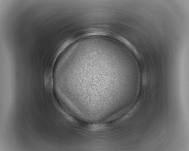 X0000111681274200907241225