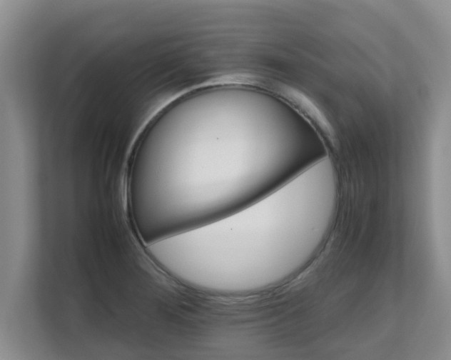 X0000111681276200907241225