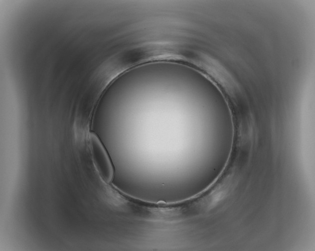 X0000111681281200907241225