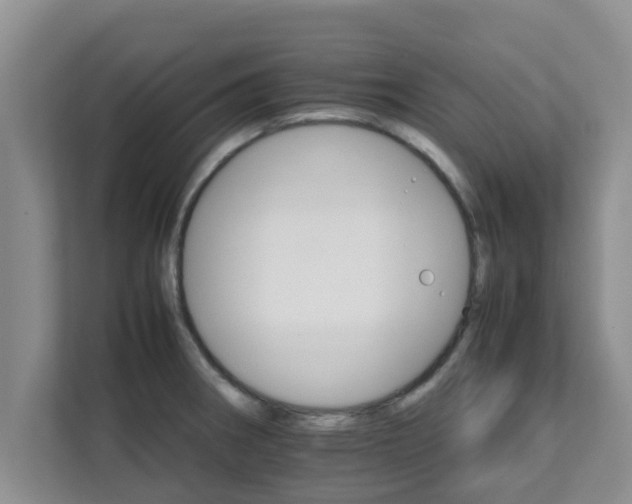 X0000111681282200907241225