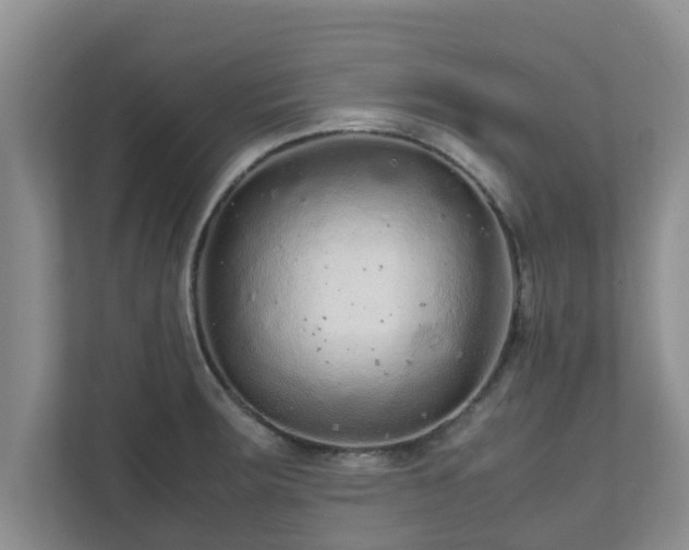 X0000111681283200907241225