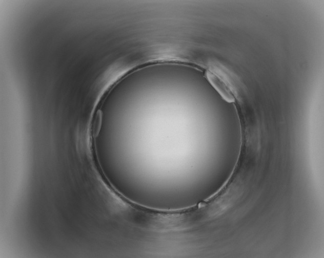 X0000111681285200907241225