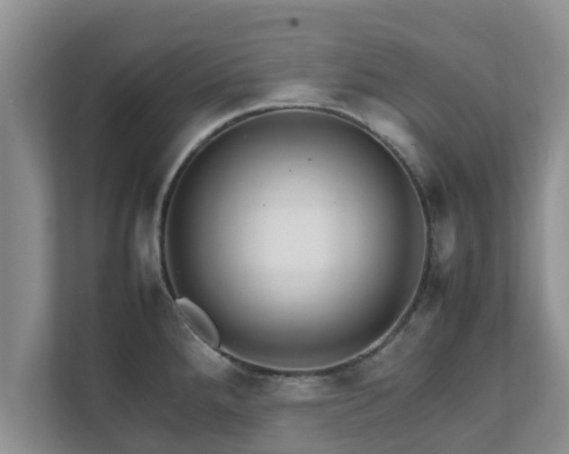 X0000111681288200907241225