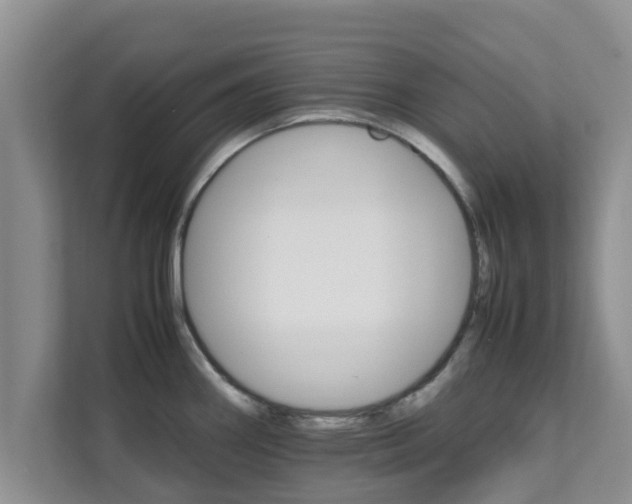 X0000111681290200907241225