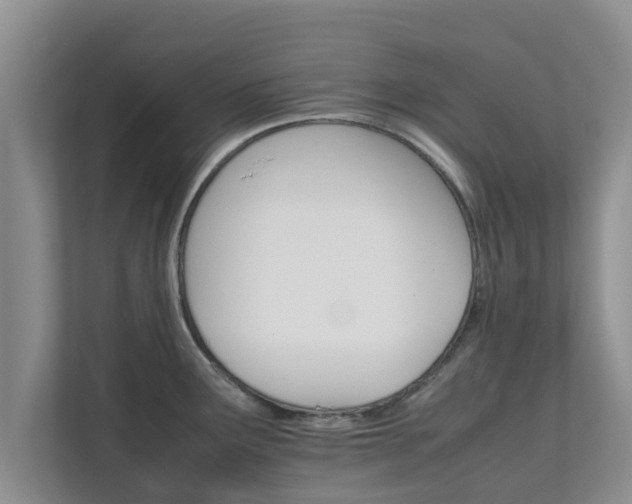 X0000111681291200907241225