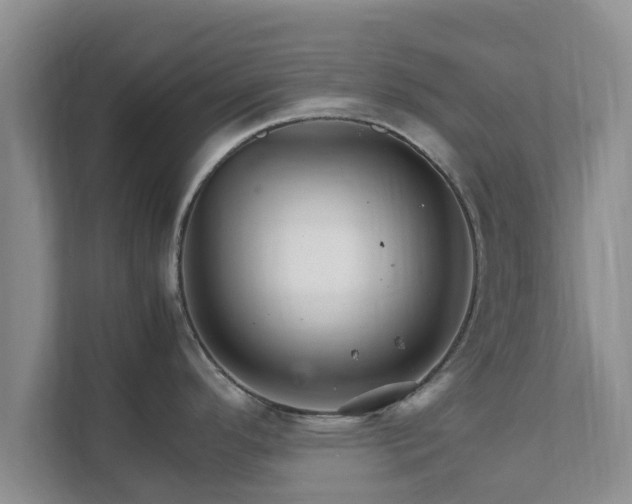 X0000111681296200907241225