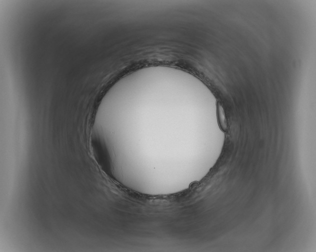 X0000111681297200907241224