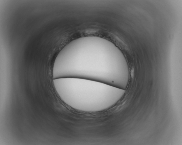 X0000111681299200907241224