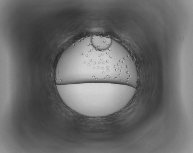 X0000111681301200907241224