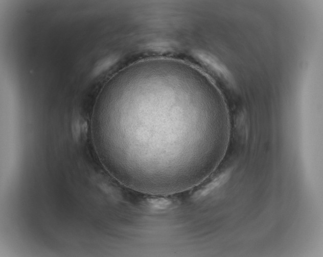 X0000111681302200907241224