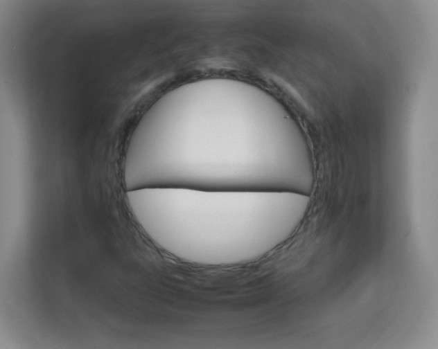 X0000111681303200907241224