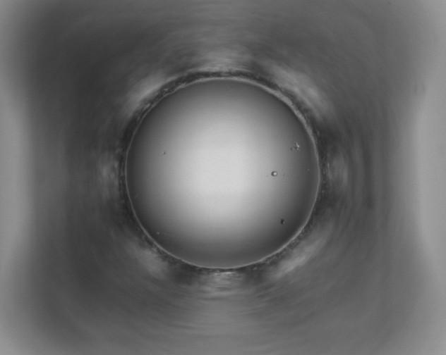 X0000111681304200907241224