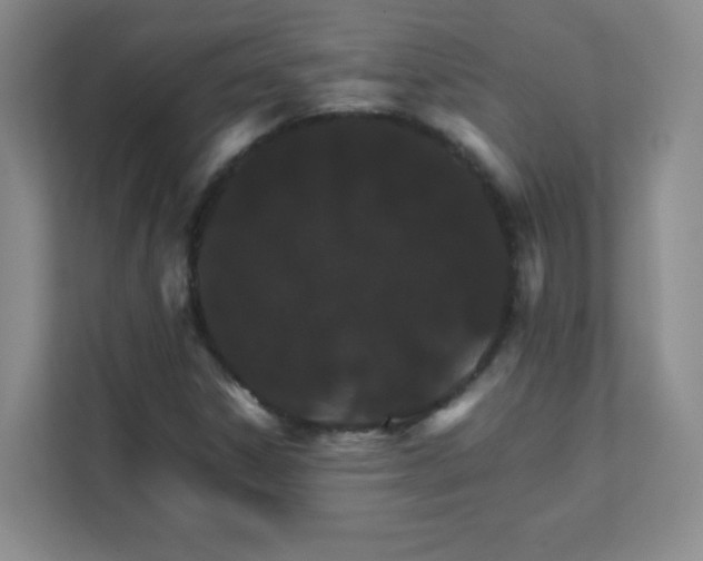 X0000111681306200907241224