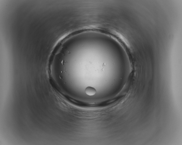 X0000111681308200907241225