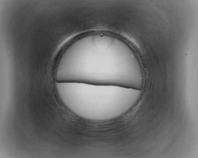 X0000111681311200907241225