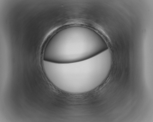 X0000111681312200907241225