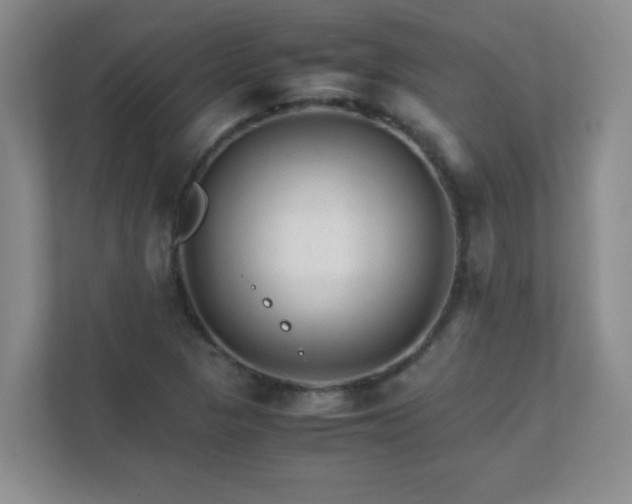 X0000111681313200907241225