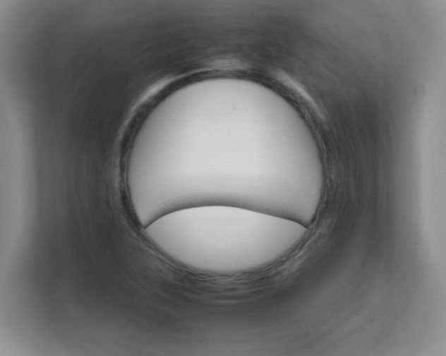 X0000111681315200907241225