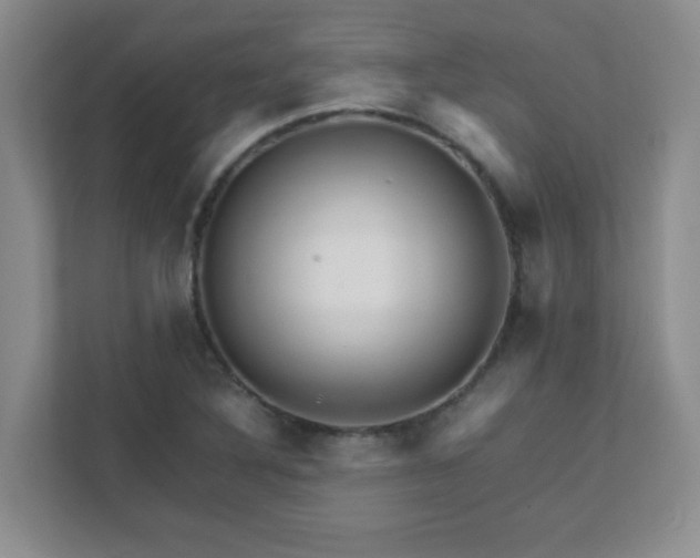 X0000111681316200907241225