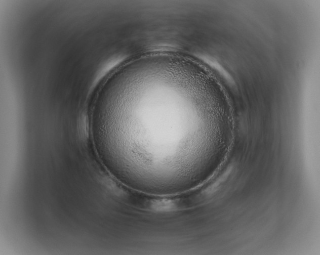 X0000111681317200907241225